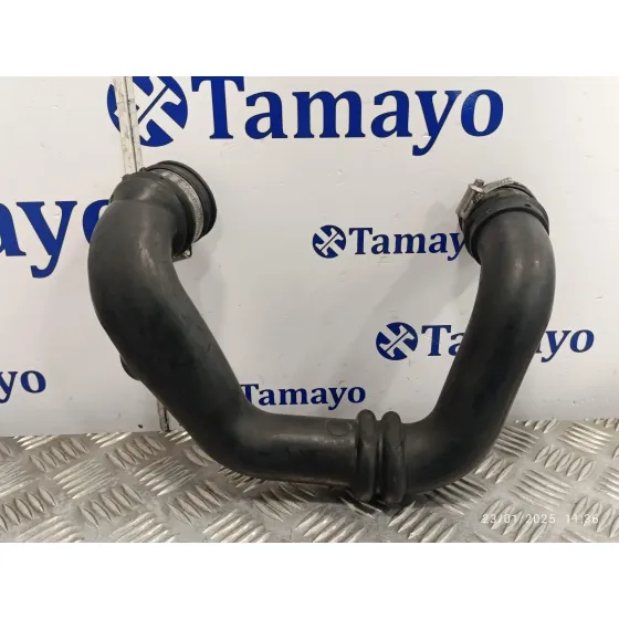 Tubo para Renault Megane I Coupe Fase 2 (Da..)