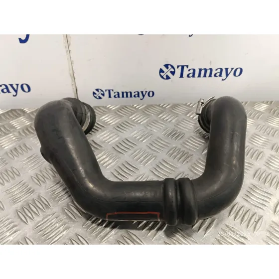Tubo para Renault Megane I Coupe Fase 2 (Da..)