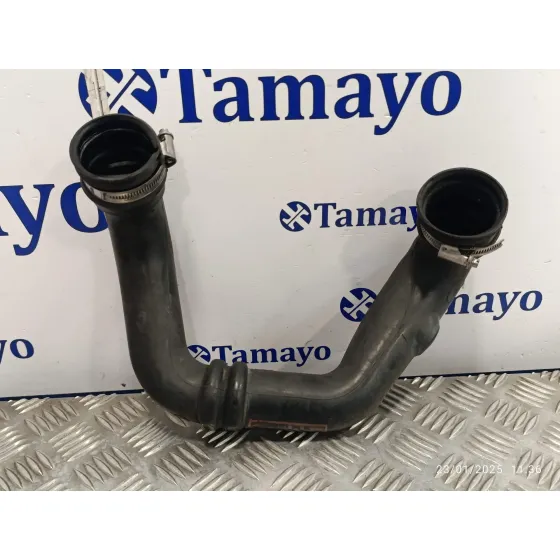 Tubo para Renault Megane I Coupe Fase 2 (Da..)