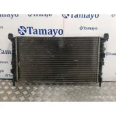 Radiador Agua para Ford C-Max (Cb3)