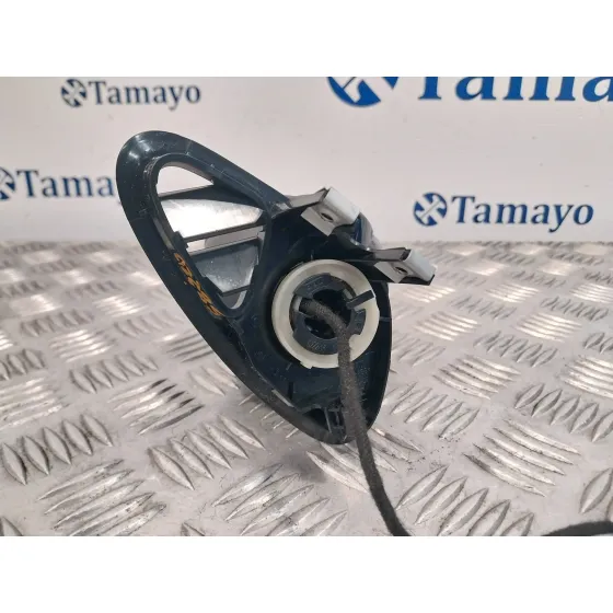 Cuadro Instrumentos para Smart Forfour