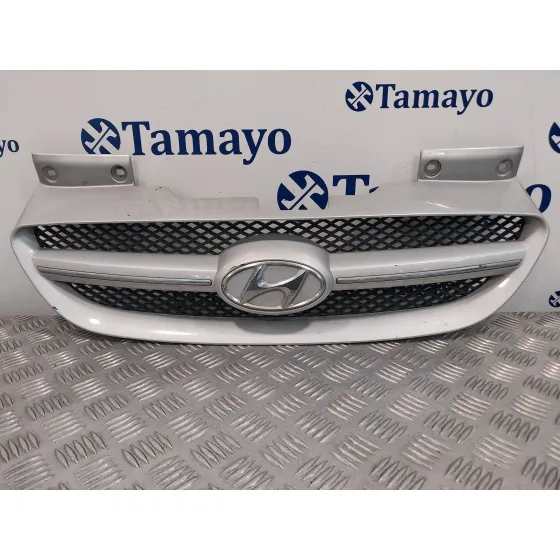 Rejilla Delantera para Hyundai Getz (Tb)