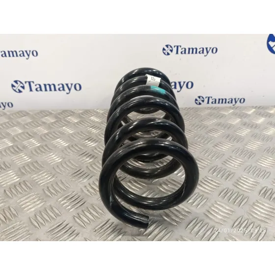 Muelle Amortiguacion para Ford Ranger (Tke)