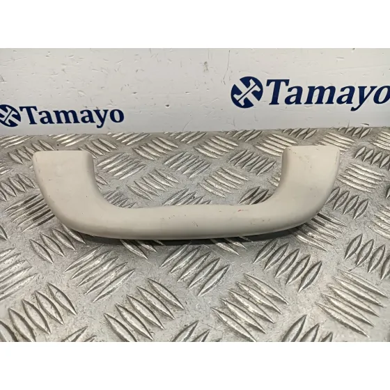 Asidero Delantero Izquierdo para Subaru Xv
