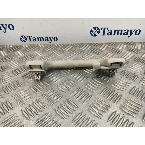 Asidero Trasero Izquierdo para Subaru Xv