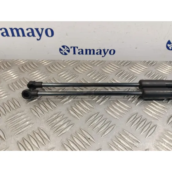 Amortiguadores Maletero / Porton para Smart Forfour