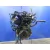 Motor Completo para Ford Ka+