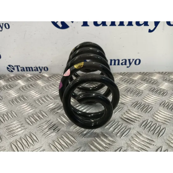 Muelle Amortiguacion para Smart Forfour