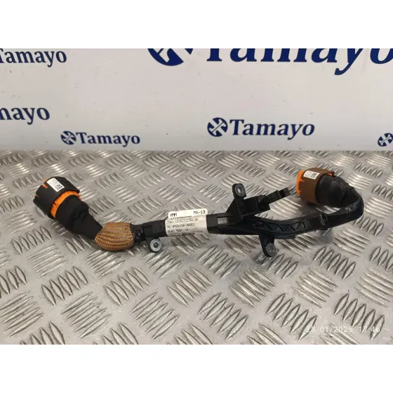 Modulo Electronico para Smart Forfour