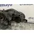 Faro Derecho para Toyota Yaris (Xpa1F/Mxph11/Chxnbw)
