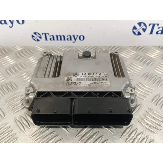 Centralita Motor Uce para Seat Ibiza (6J5)