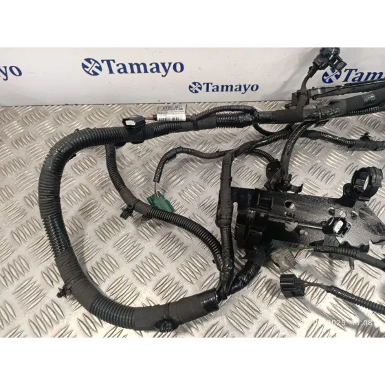 Cables Motor Hibrido para Smart Forfour