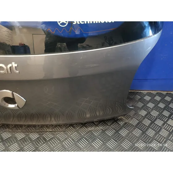 Porton Trasero para Smart Forfour