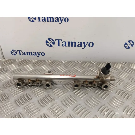 Rampa Inyectora para Renault Scenic Iii