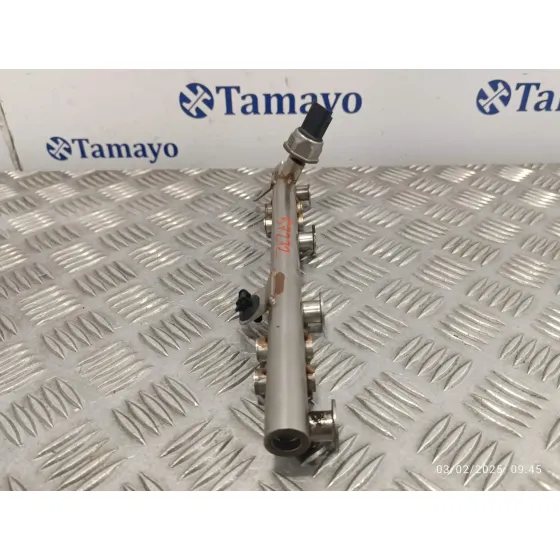 Rampa Inyectora para Renault Scenic Iii