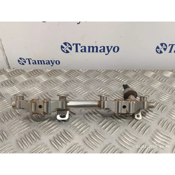 Rampa Inyectora para Renault Scenic Iii