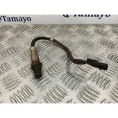Sonda Lambda para Renault Scenic Iii