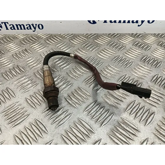 Sonda Lambda para Renault Scenic Iii