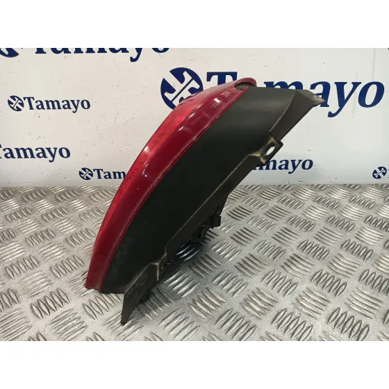 Piloto Trasero Izquierdo para Fiat 500 (312)