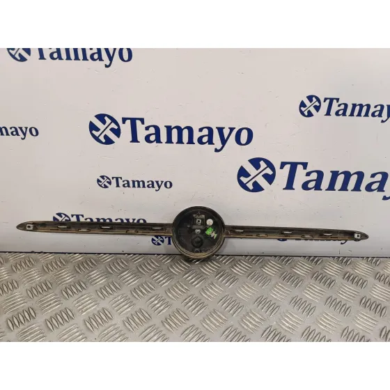 Rejilla Delantera para Fiat 500 (312)