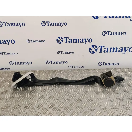 Cinturon Seguridad Trasero Central para Seat Alhambra (7N)