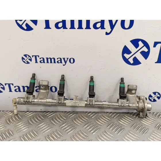 Rampa Inyectora para Ford Focus Berlina (Cap)