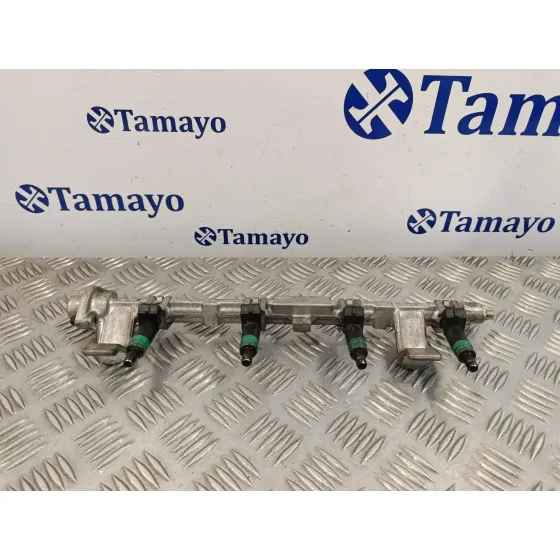Rampa Inyectora para Ford Focus Berlina (Cap)