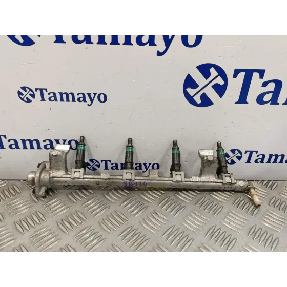 Rampa Inyectora para Ford Focus Berlina (Cap)