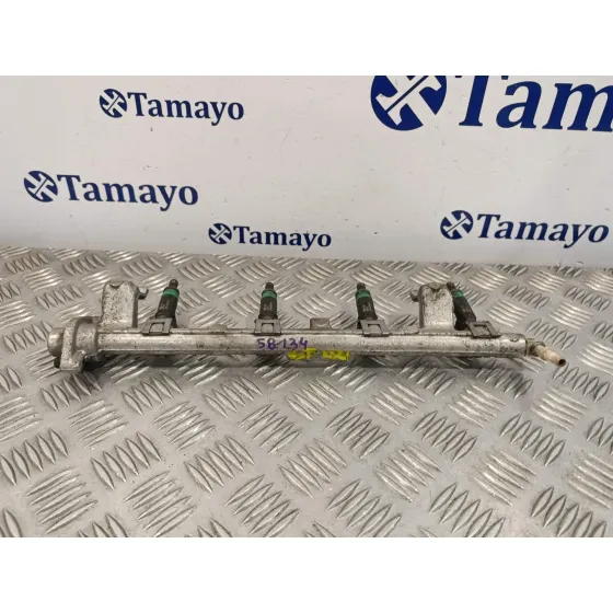 Rampa Inyectora para Ford Focus Berlina (Cap)
