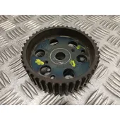 Polea Bomba Inyectora para Fiat Doblo