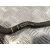 Tubo para Ford Transit Combi '06