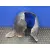 Plastico Paso Rueda Delantero Derecho para Seat Leon (1P1)