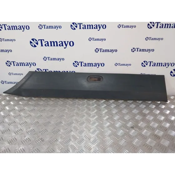 Moldura para Mercedes-Benz Sprinter 02.00 -> Caja Cerrada