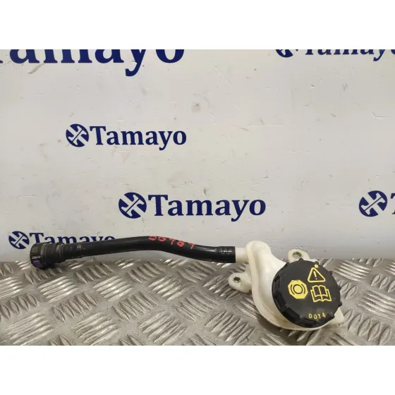 Deposito Servo para Ford Fiesta (Ccn)