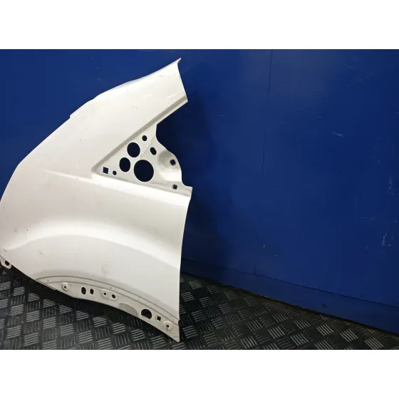 Aleta Delantera Izquierda para Ford Transit Kastenwagen (Ttg)
