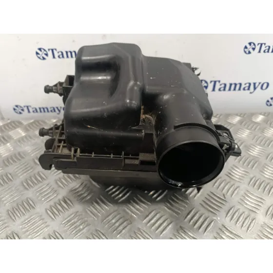 Carcasa Filtro Aire para Nissan Juke (F15)