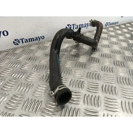 Manguera para Smart Forfour