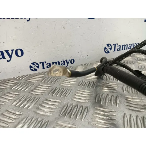 Cable para Smart Forfour