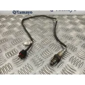 Sonda Lambda para Ford Tourneo Courier (C4A)