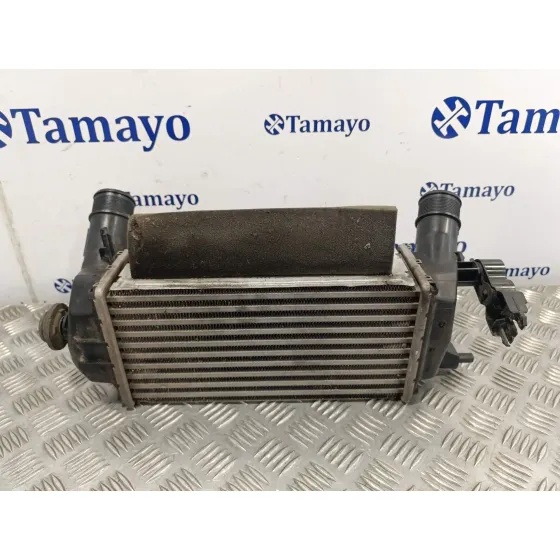 Intercooler para Ford Tourneo Courier (C4A)