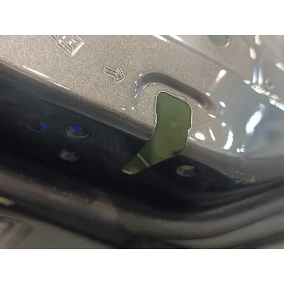 Puerta Trasera Izquierda para Ford Fiesta (Ce1)