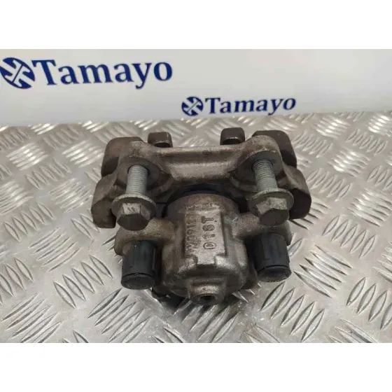 Pinza Freno Trasera Derecha para Bmw Serie 1 Lim. (F20/F21)
