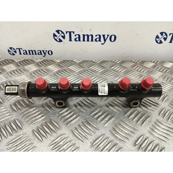 Rampa Inyectora para Peugeot Expert