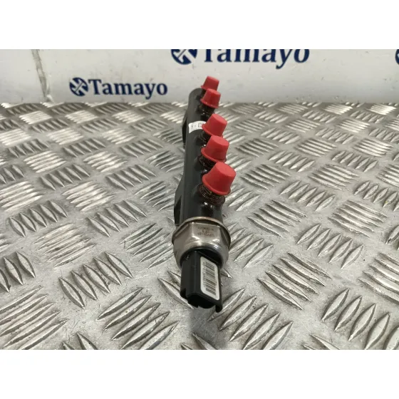 Rampa Inyectora para Peugeot Expert