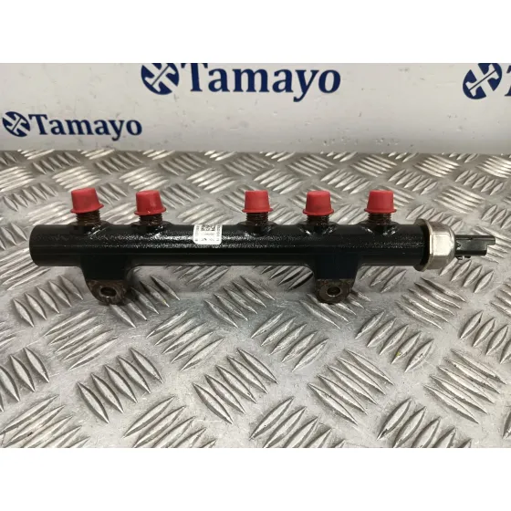 Rampa Inyectora para Peugeot Expert
