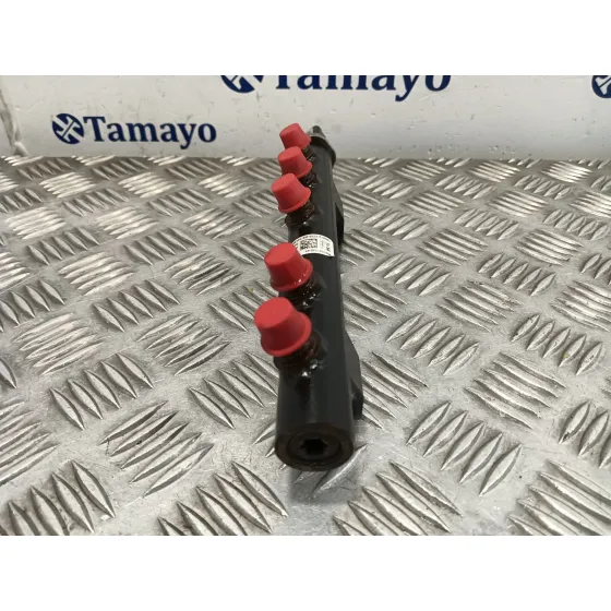 Rampa Inyectora para Peugeot Expert
