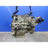 Bloque Armado para Peugeot Expert