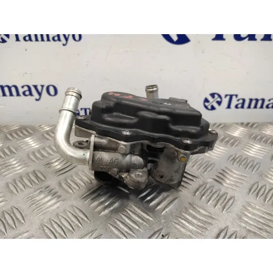 Valvula Egr para Skoda Rapid