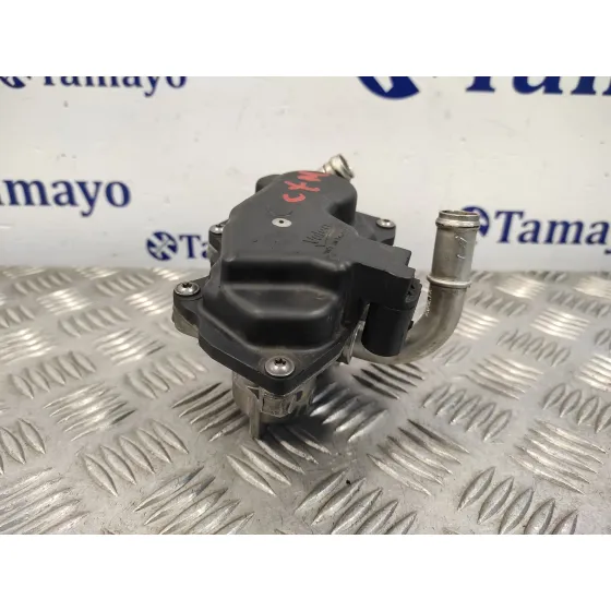 Valvula Egr para Skoda Rapid
