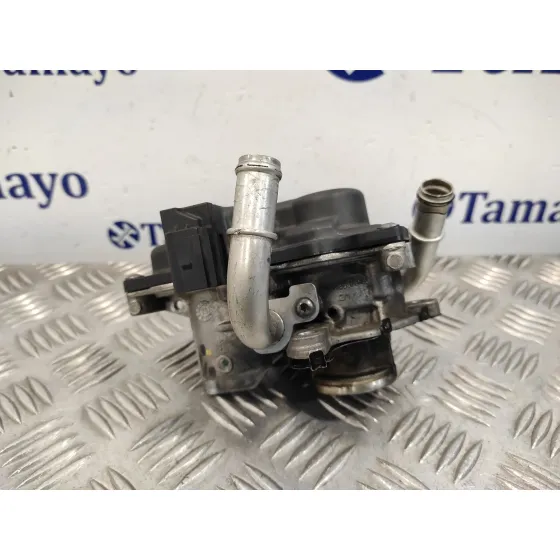 Valvula Egr para Skoda Rapid